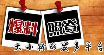 重庆爆料最新新闻,揭秘城市热点事件背后的真相